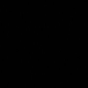 Meet your Posher, Kristin